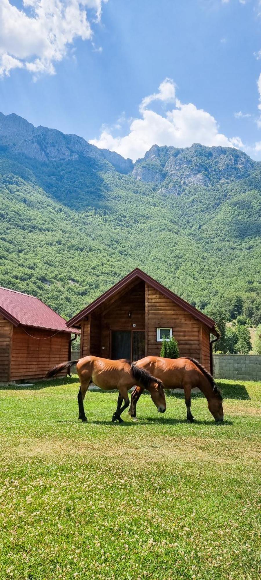 Ethno Katun Rosi Agrotourism Hotel Gusinje Kültér fotó