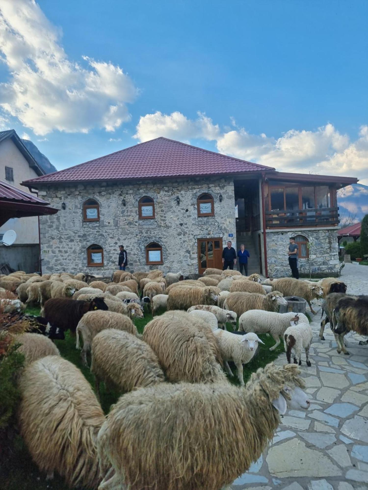 Ethno Katun Rosi Agrotourism Hotel Gusinje Kültér fotó