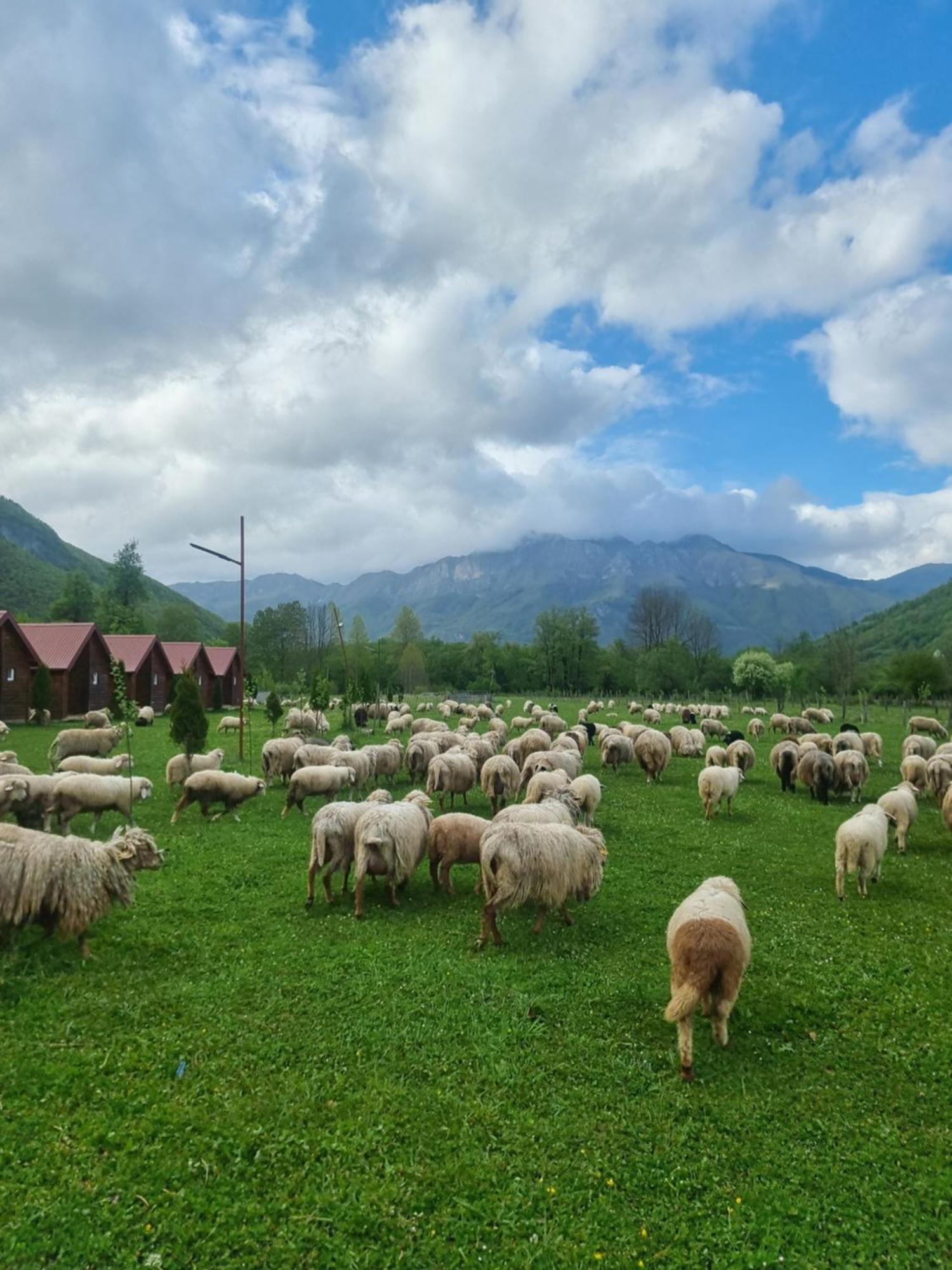 Ethno Katun Rosi Agrotourism Hotel Gusinje Kültér fotó